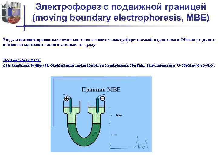 Электрофорез с подвижной границей (moving boundary electrophoresis, MBE) Разделение ионизированных компонентов на основе их