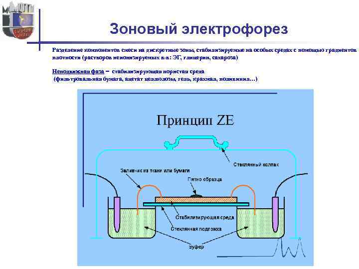 Зоновый электрофорез Разделение компонентов смеси на дискретные зоны, стабилизируемые на особых средах с помощью