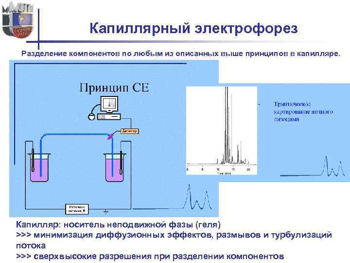 Капиллярный электрофорез презентация