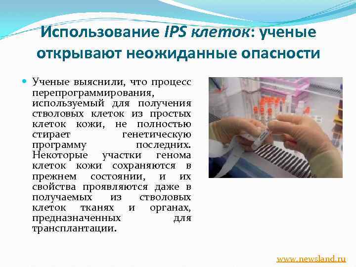 Использование IPS клеток: ученые открывают неожиданные опасности Ученые выяснили, что процесс перепрограммирования, используемый для