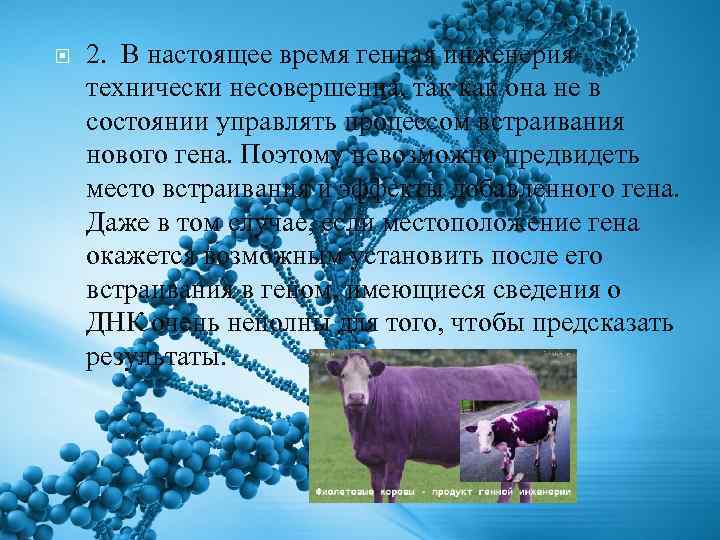  2. В настоящее время генная инженерия технически несовершенна, так как она не в
