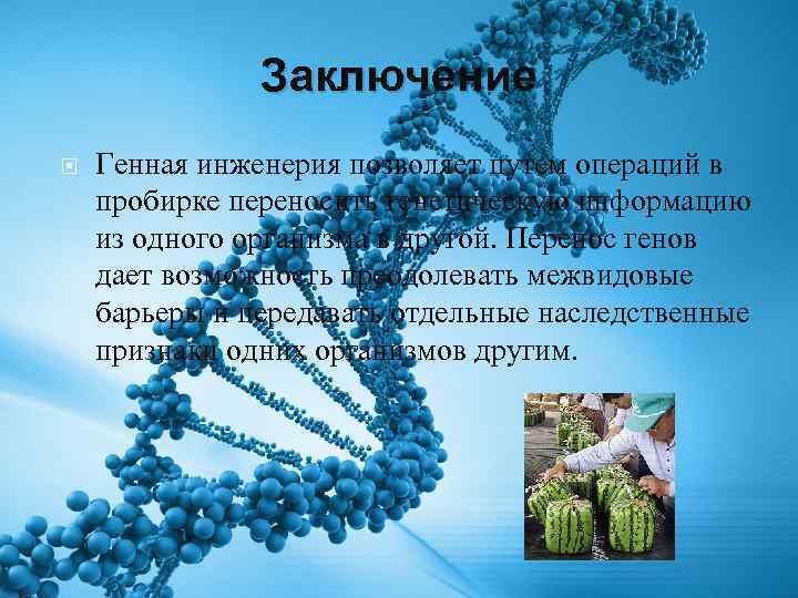 Заключение Генная инженерия позволяет путем операций в пробирке переносить генетическую информацию из одного организма