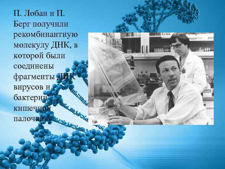 П. Лобан и П. Берг получили рекомбинантную молекулу ДНК, в которой были соединены фрагменты