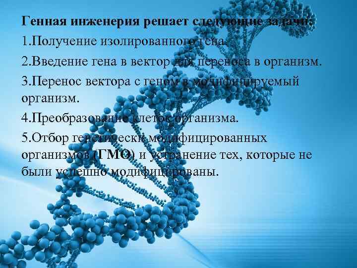 Генная инженерия решает следующие задачи: 1. Получение изолированного гена. 2. Введение гена в вектор