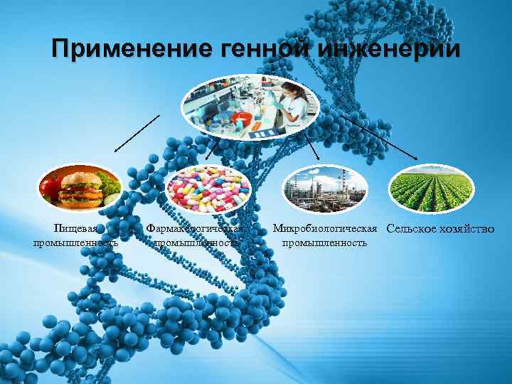 Применение генной инженерии Пищевая промышленность Фармакологическая промышленность Микробиологическая Сельское хозяйство промышленность 