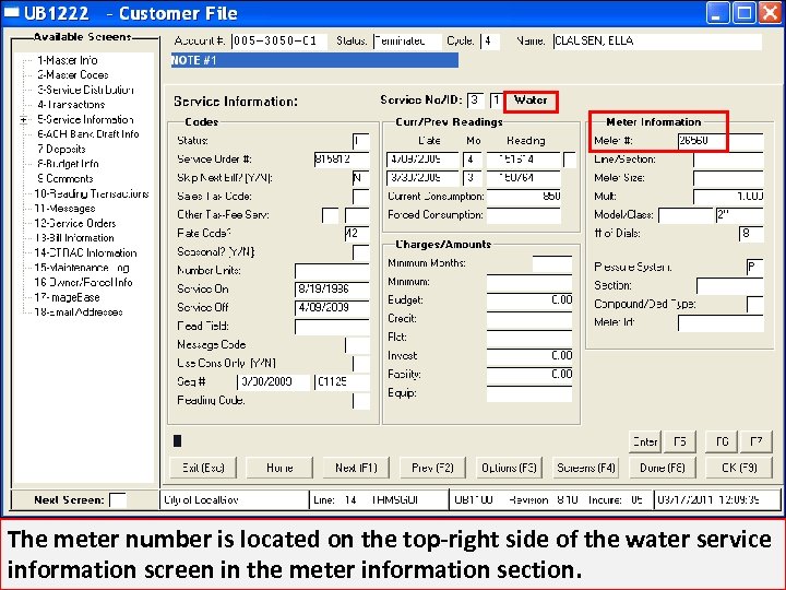 The meter number is located on the top-right side of the water service information