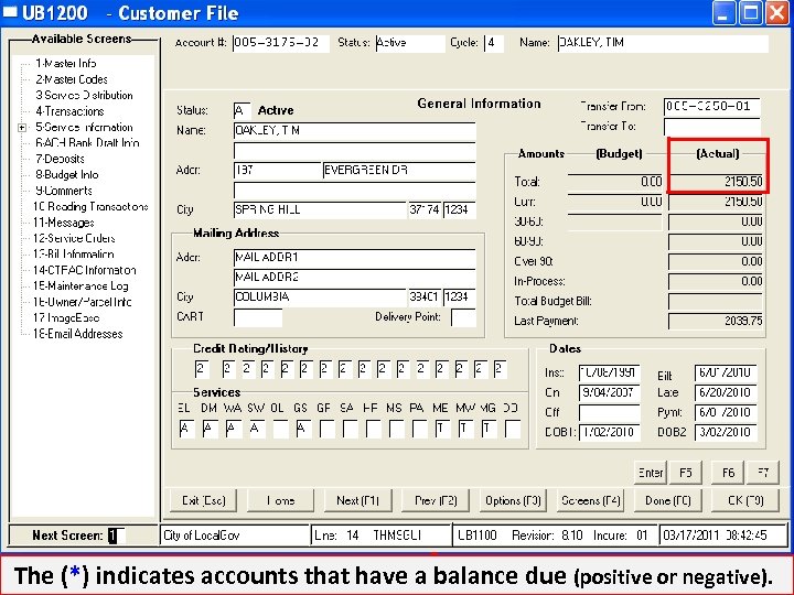 The (*) indicates accounts that have a balance due (positive or negative). 
