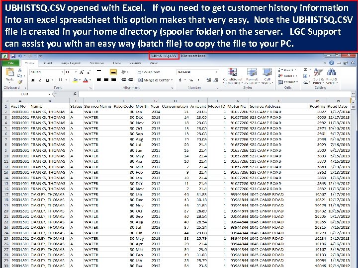UBHISTSQ. CSV opened with Excel. If you need to get customer history information into