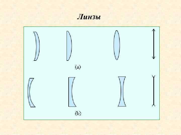 Линзы 