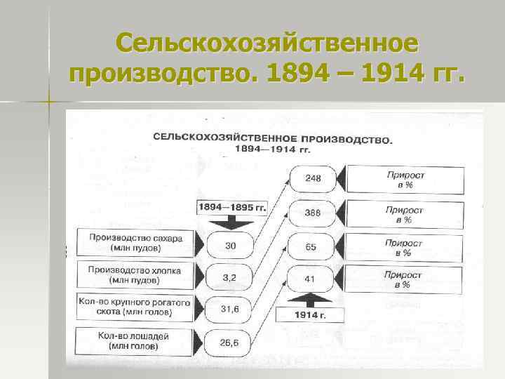 Сельскохозяйственное производство. 1894 – 1914 гг. 
