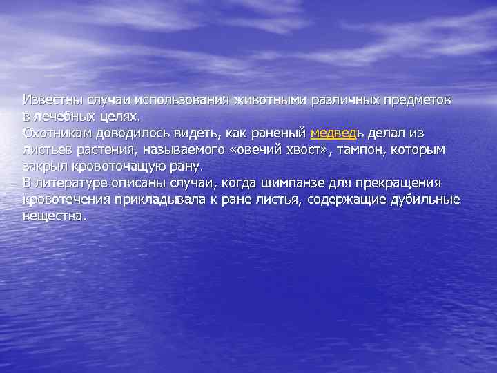 Известны случаи использования животными различных предметов в лечебных целях. Охотникам доводилось видеть, как раненый