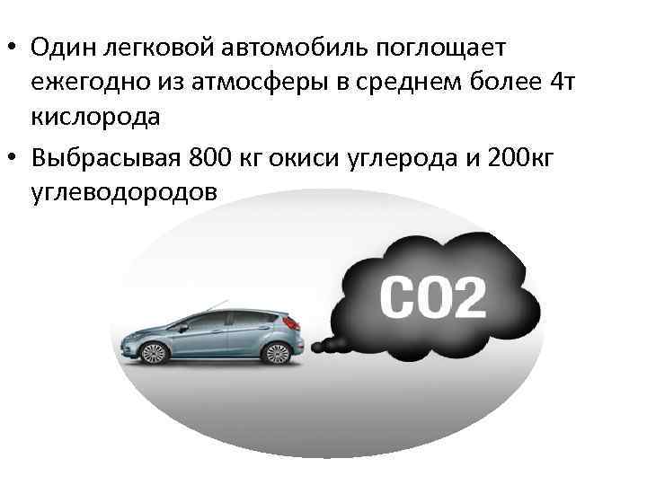Автомобиль в сутки выбрасывает в воздух примерно 20 кг выхлопных газов