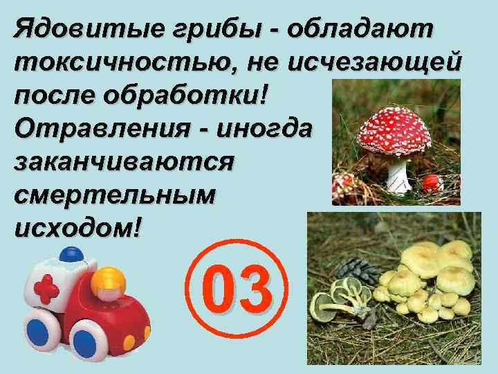 Ядовитые грибы - обладают токсичностью, не исчезающей после обработки! Отравления - иногда заканчиваются смертельным