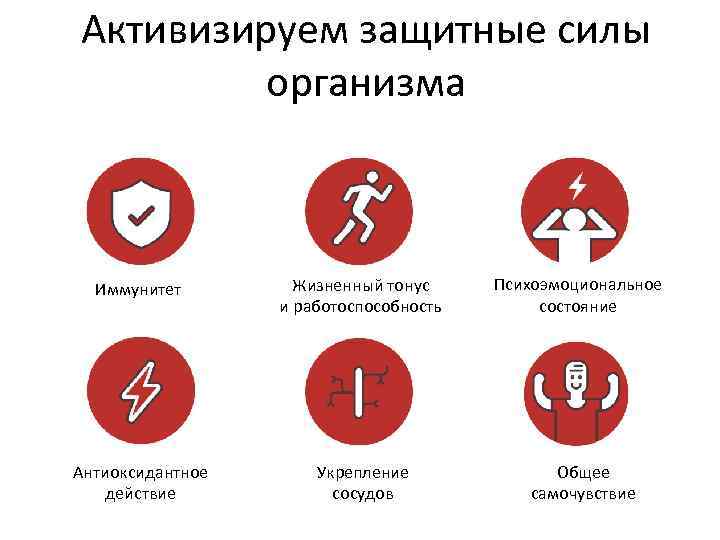 Активизируем защитные силы организма Иммунитет Жизненный тонус и работоспособность Психоэмоциональное состояние Антиоксидантное действие Укрепление