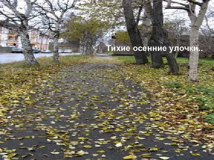  • . Тихие осенние улочки. . 