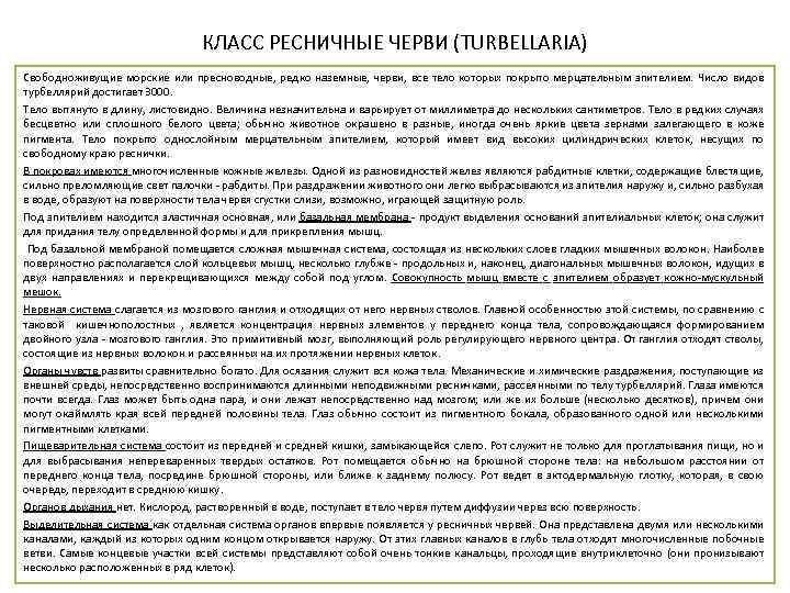 КЛАСС РЕСНИЧНЫЕ ЧЕРВИ (TURBELLARIA) Свободноживущие морские или пресноводные, редко наземные, черви, все тело которых