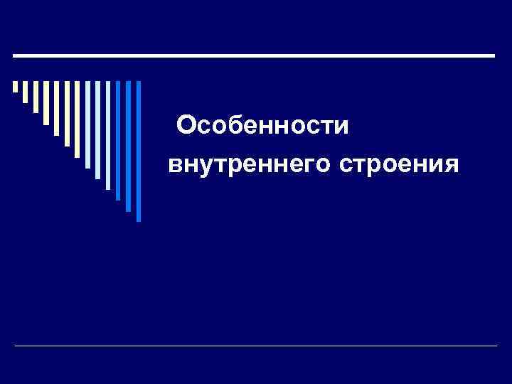 Особенности внутреннего строения 