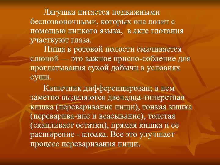 Лягушка питается подвижными беспозвоночными, которых она ловит с помощью липкого языка, в акте глотания
