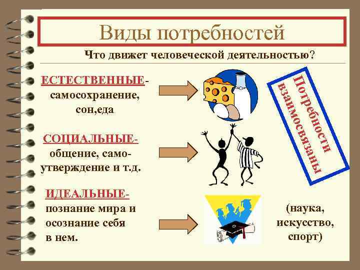 Виды потребностей Что движет человеческой деятельностью? СОЦИАЛЬНЫЕобщение, самоутверждение и т. д. ти ы нос