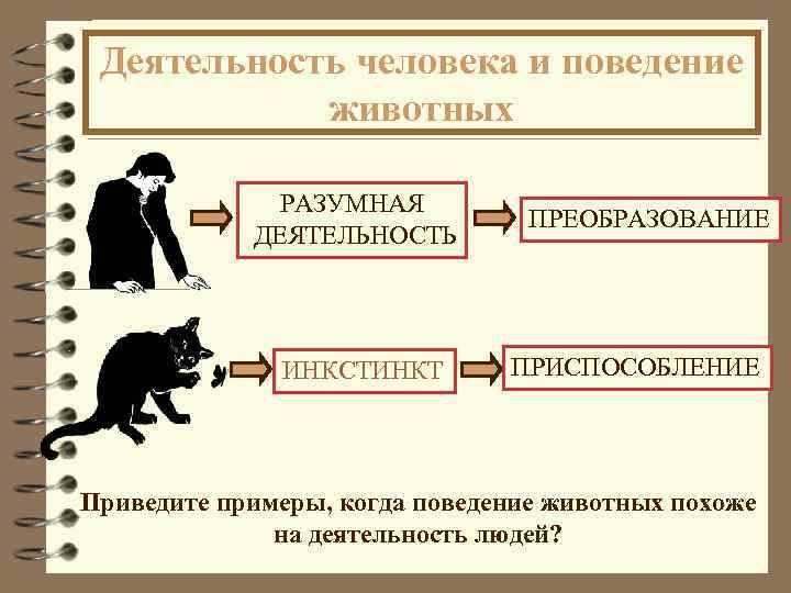 Деятельность человека и поведение животных РАЗУМНАЯ ДЕЯТЕЛЬНОСТЬ ИНКСТИНКТ ПРЕОБРАЗОВАНИЕ ПРИСПОСОБЛЕНИЕ Приведите примеры, когда поведение