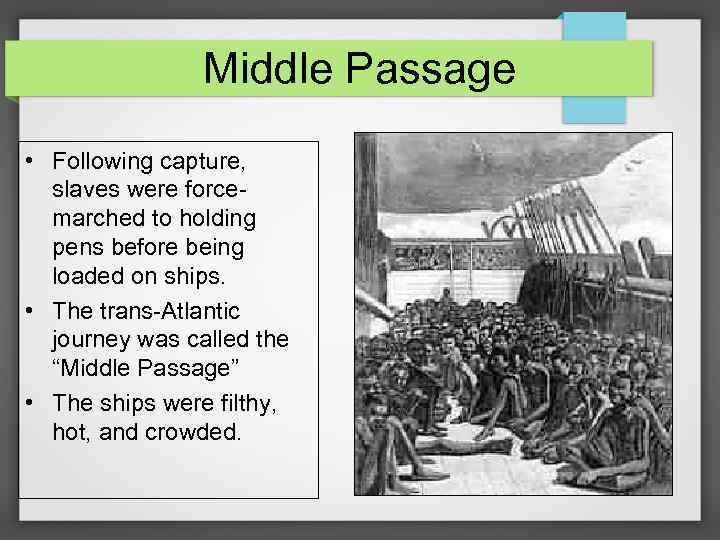 Middle Passage • Following capture, slaves were forcemarched to holding pens before being loaded