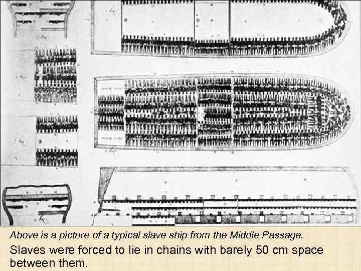 Above is a picture of a typical slave ship from the Middle Passage. Slaves