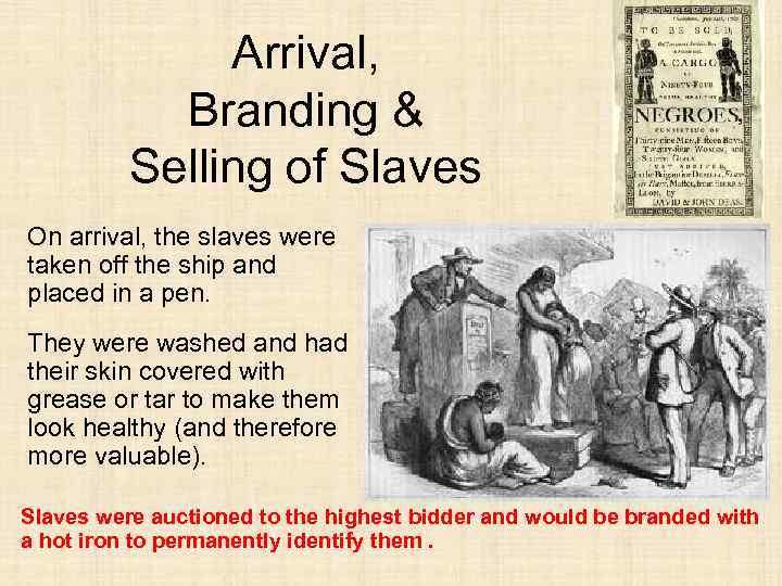 Arrival, Branding & Selling of Slaves On arrival, the slaves were taken off the