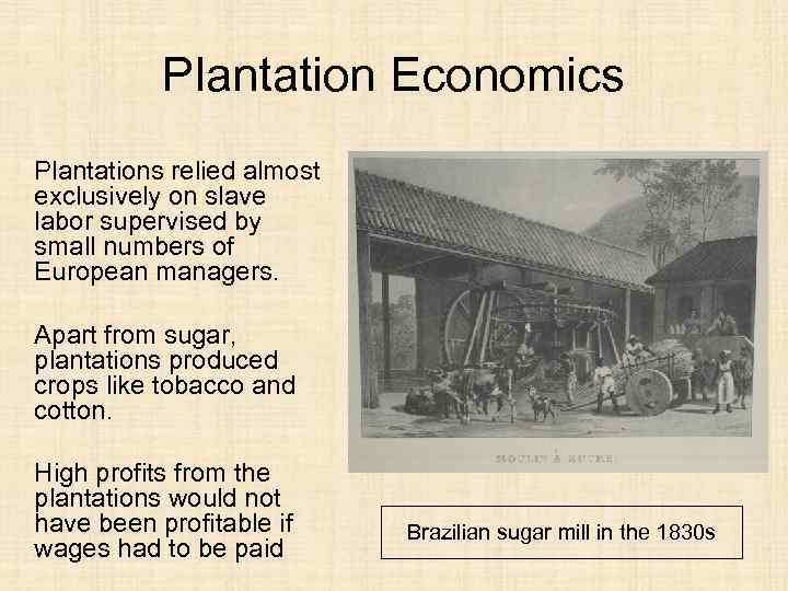 Plantation Economics Plantations relied almost exclusively on slave labor supervised by small numbers of