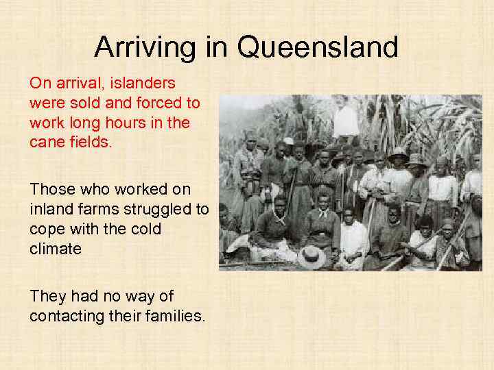 Arriving in Queensland On arrival, islanders were sold and forced to work long hours