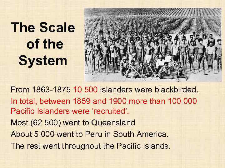 The Scale of the System From 1863 -1875 10 500 islanders were blackbirded. In