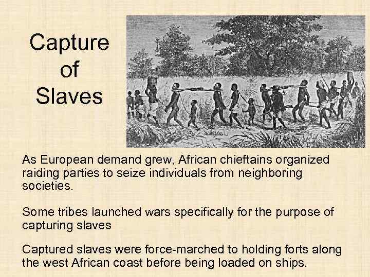 Capture of Slaves As European demand grew, African chieftains organized raiding parties to seize