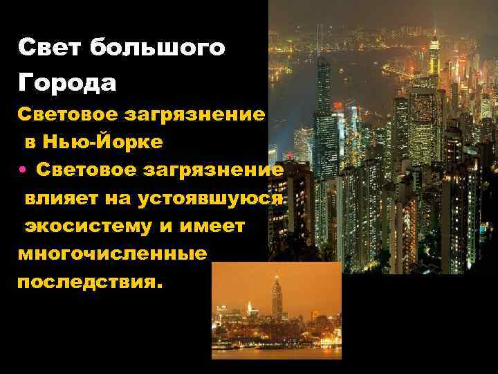 Свет большого Города Световое загрязнение в Нью-Йорке • Световое загрязнение влияет на устоявшуюся экосистему