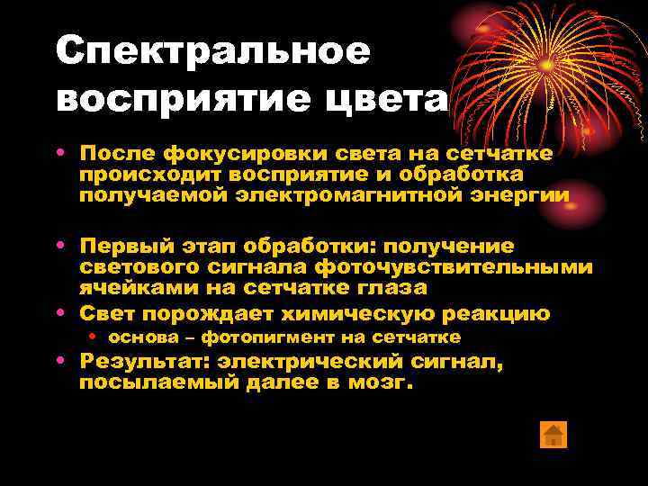 Спектральное восприятие цвета • После фокусировки света на сетчатке происходит восприятие и обработка получаемой