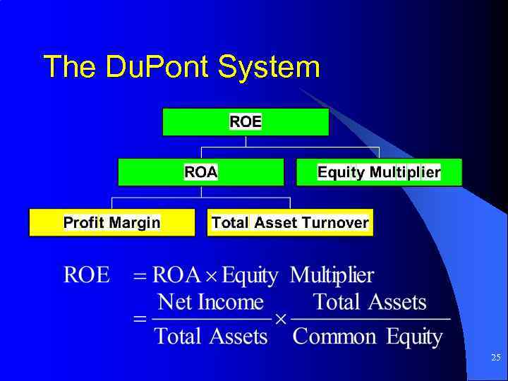 The Du. Pont System 25 