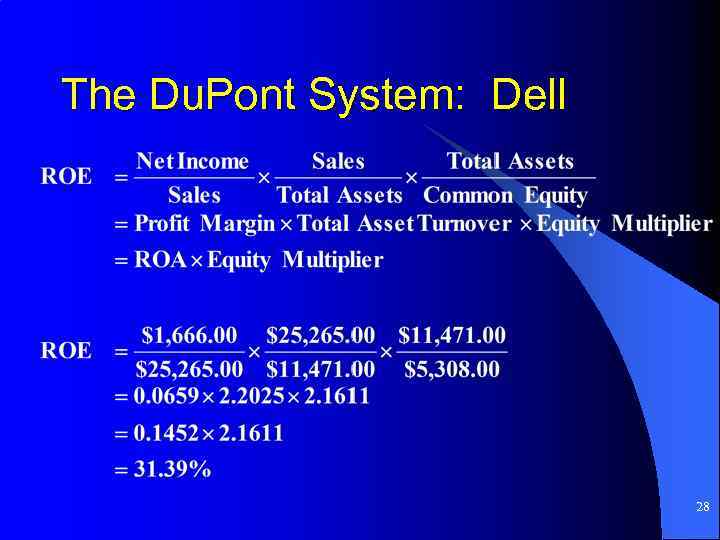 The Du. Pont System: Dell 28 