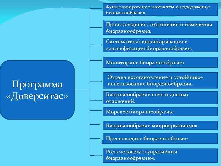 Функционирование экосистем и поддержание биоразнообразия. Происхождение, сохранение и изменения биоразнообразия. Систематика: инвентаризация и классификация