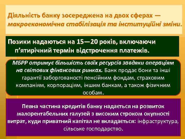 Діяльність банку зосереджена на двох сферах — макроекономічна стабілізація та інституційні зміни. Позики надаються