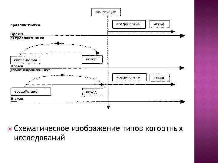  Схематическое исследований изображение типов когортных 