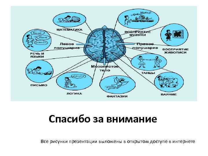 Спасибо за внимание Все рисунки презентации выложены в открытом доступе в интернете 