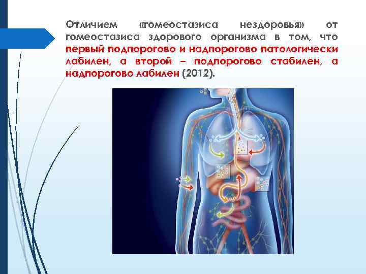 Отличием «гомеостазиса нездоровья» от гомеостазиса здорового организма в том, что первый подпорогово и надпорогово