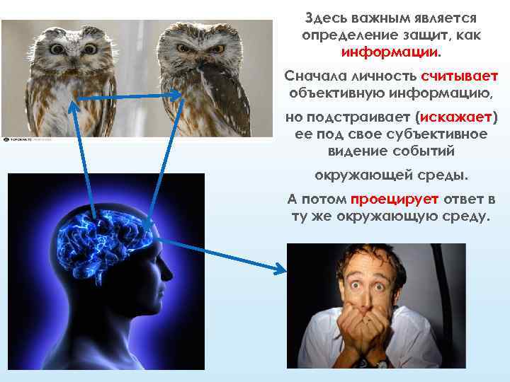 Здесь важным является определение защит, как информации. Сначала личность считывает объективную информацию, но подстраивает