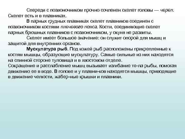 Спереди с позвоночником прочно сочленен скелет головы — череп. Скелет есть и в плавниках.