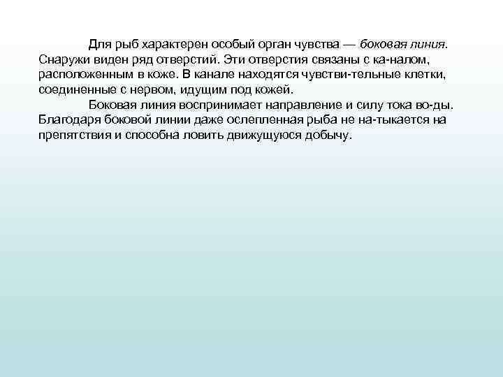 Для рыб характерен особый орган чувства — боковая линия. Снаружи виден ряд отверстий. Эти