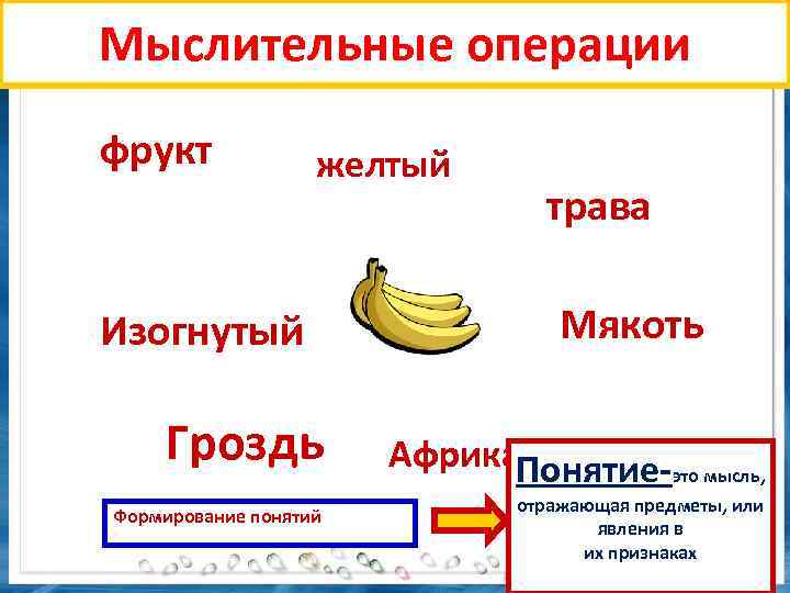 Мыслительные операции фрукт желтый Изогнутый Гроздь Формирование понятий трава Мякоть Африка. Понятие-это мысль, отражающая