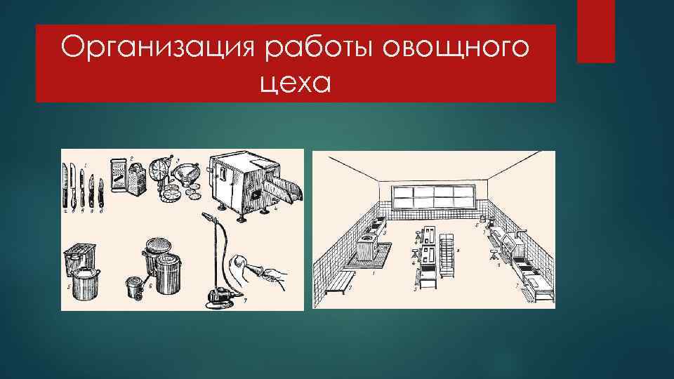 Организация работы овощного цеха 