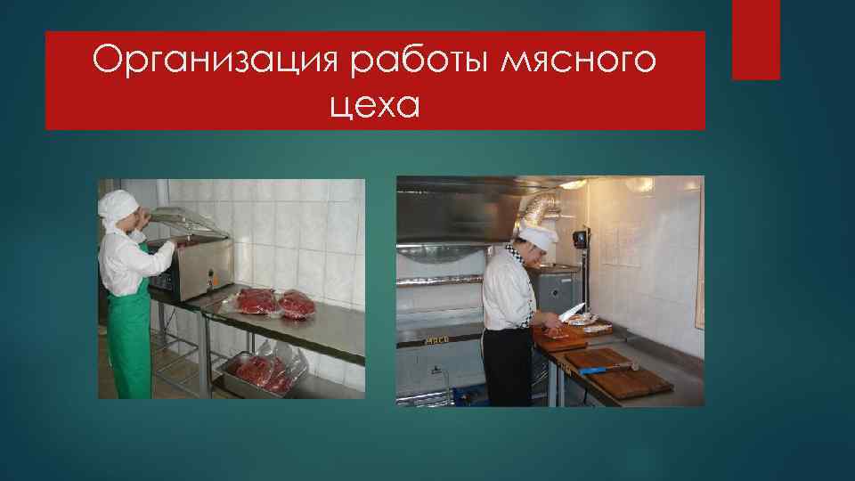 Организация работы мясного цеха 