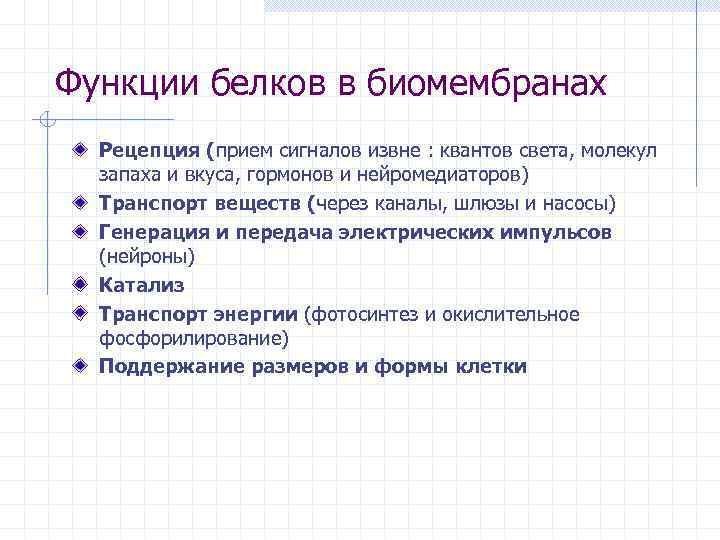 Функции белков в биомембранах Рецепция (прием сигналов извне : квантов света, молекул запаха и