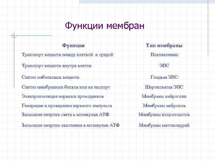 Функции мембран Функция Транспорт веществ между клеткой и средой Транспорт веществ внутри клеток Синтез