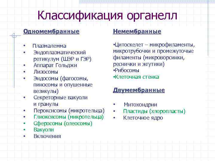 Классификация органелл Одномембранные Немембранные • • Цитоскелет – микрофиламенты, микротрубочки и промежуточые филаменты (микроворсинки,