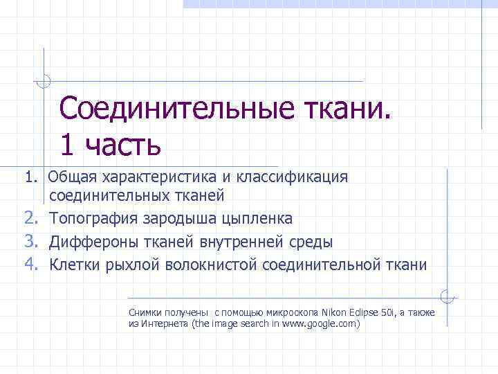 Соединительные ткани. 1 часть 1. Общая характеристика и классификация соединительных тканей 2. Топография зародыша